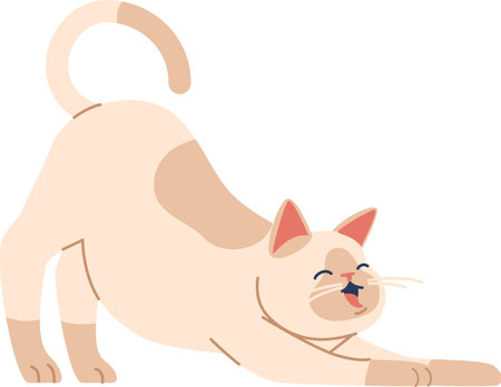 Lovely cat stretching body vector illustrationのイラスト素材