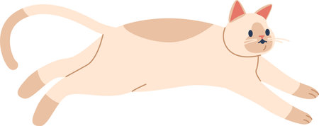 Lovely lazy cat resting vector illustrationのイラスト素材