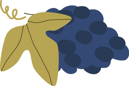 Bunch of ripe grapes vector illustrationのイラスト素材