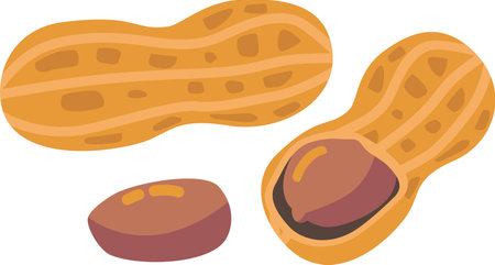 Peanut snack nut assortment vector illustration