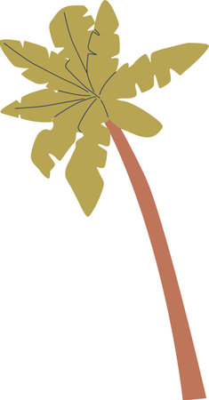 Palm tree beach plant vector illustrationのイラスト素材