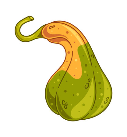Colored autumn pumpkin vegetable cartoonのイラスト素材