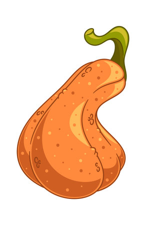 Orange pumpkin autumn vegetable harvestのイラスト素材