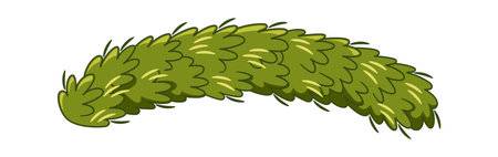 Xmas spruce branch plant borderのイラスト素材