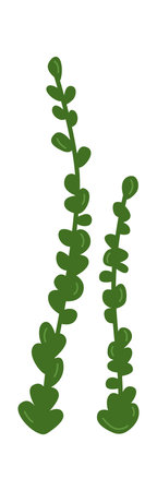 Succulent Stem Botanic Doodle