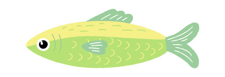 Sardines Sea Fish Hand Drawnのイラスト素材