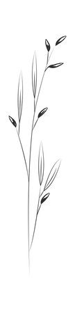 Grass Stem With Buds Line Artのイラスト素材