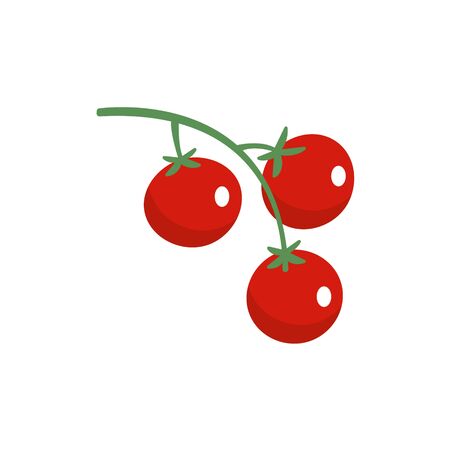 Tomato, cherie on white background. Vector illustration in trendy flat style.のイラスト素材
