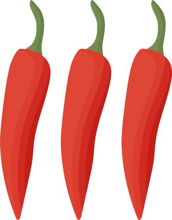 Chilli cartoon vector.Wallpaper. Isolated on white background.のイラスト素材