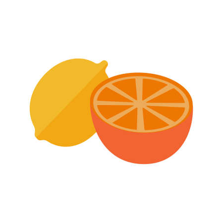 Fresh lemon fruits whole and half on white background. Used to add to black and green tea. Vector Illustration.のイラスト素材