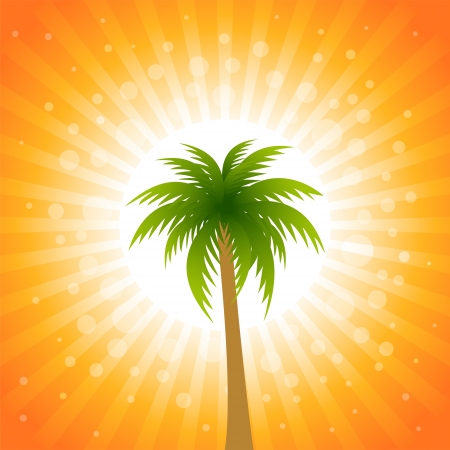 Tropical palm tree, illustrationのイラスト素材