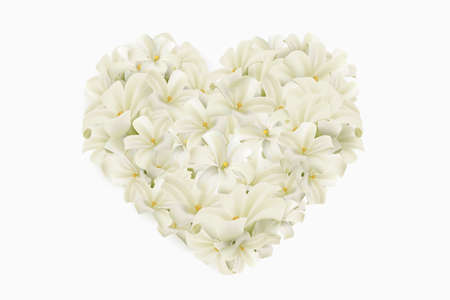 White flower heart isolated on a white background. Realistic EPS file.のイラスト素材