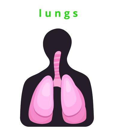 Human internal organ - realistic lungs with the name Anatomy Pink human lungs Human body part Modern flat cartoons vector illustration icons Isolated on white Realistic lungs Biology, anatomyのイラスト素材