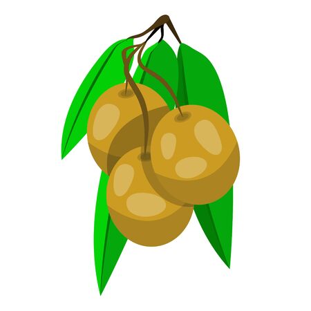 Three stuffed olives on toothpick. Olives on cocktail sticks. Modern flat cartoons style vector illustration icons. Isolated on white background. Cocktail olive for drink, alcohol, sandwich.;のイラスト素材