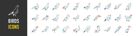 Set of bird icons. Vector elements for design.のイラスト素材
