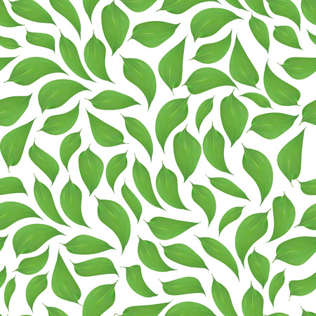 Green leaves seamless pattern on white background,printのイラスト素材
