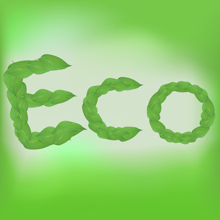 letters eco from leaves vector conceptのイラスト素材