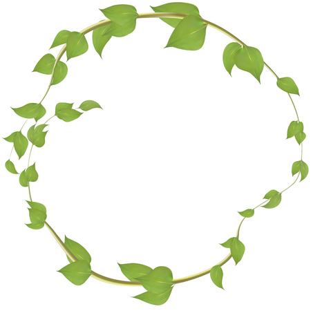 Round frame made of branches with leaves for decoration. Vegetable green background for postcard, postcard designのイラスト素材