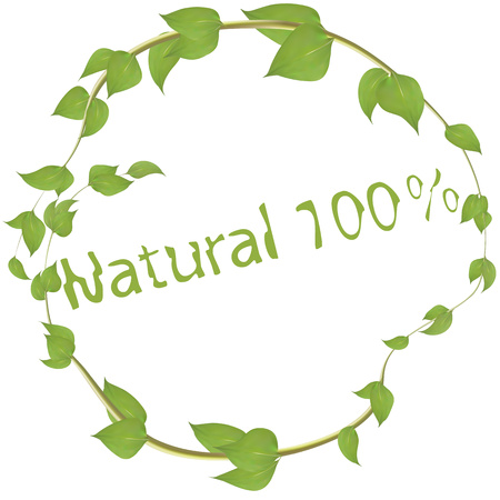Round frame made of branches with leaves inscribed with natural for decoration. Vegetable green background for a greeting card, greeting card designのイラスト素材