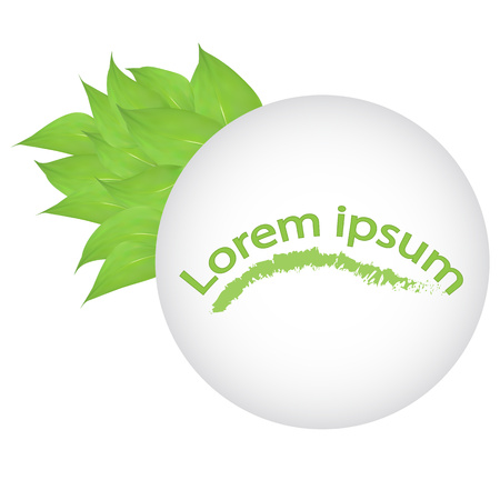 vector. Round banner of branches with leaves isolated on white background. leaves and space for text. banner presentation, blank for design,lorem ipsumのイラスト素材