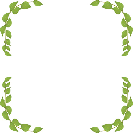 Vector frame made from leaves and twigs for decorating events isolated on white background, blanking up a postcard advertisingのイラスト素材