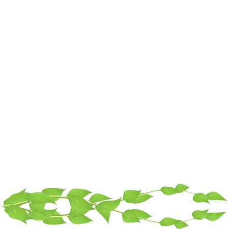 Vector frame made from leaves and twigs for decorating events isolated on white background, blanking up a postcard advertisingのイラスト素材