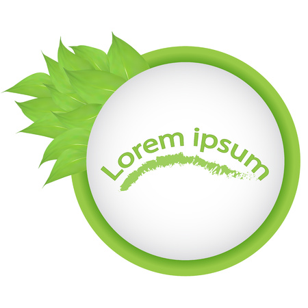 vector. Round banner of branches with leaves isolated on white background. vector leaves and space for text. banner presentation, blank for design,lorem ipsumのイラスト素材