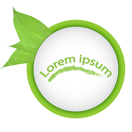 vector. Round banner of branches with leaves and water drops, isolated on white background. Green leaves and space for text. banner presentation, form for design, lorem ipsum,dewのイラスト素材