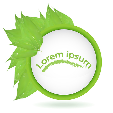 vector. Round banner of branches with leaves and water drops, isolated on white background. Green leaves and space for text. banner presentation, form for design, lorem ipsum,dewのイラスト素材