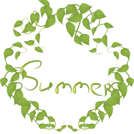 Vector frame made from leaves and twig swith summer inscription for decorating events isolated on white background, blanking up a postcard advertisingのイラスト素材