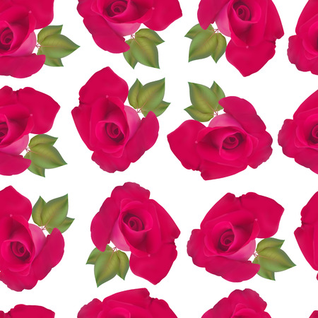 Seamless floral pattern with red roses and green leaves in vector, print for wallpaper clothes isolated on white backgroundのイラスト素材