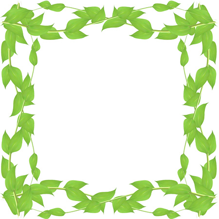 Vector frame made from leaves and twigs for decorating events isolated on white background, blanking up a postcard advertisingのイラスト素材