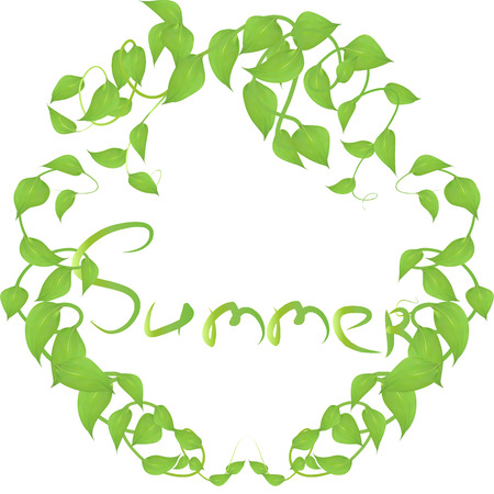 Vector frame made from leaves and twig swith summer inscription for decorating events isolated on white background, blanking up a postcard advertisingのイラスト素材