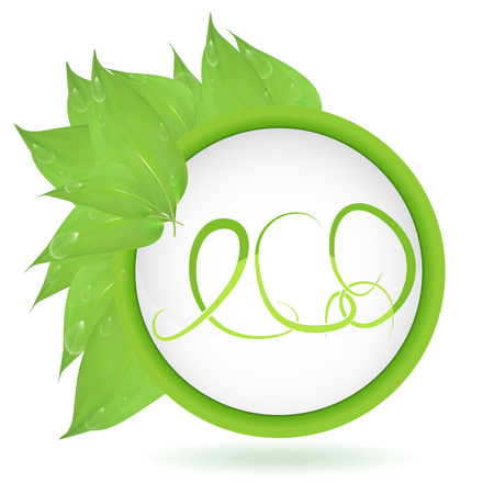 vector. Round banner of branches with leaves and water drops with, the inscription eco, isolated on white background. Green leaves and space for text. banner presentation, form for design, lorem ipsum,dewのイラスト素材