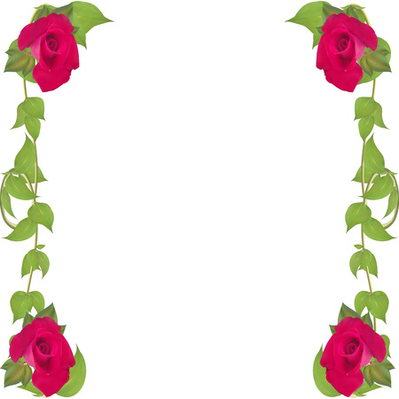 Vector frame of leaves and twigs with red roses realistic for decoration events isolated on white backgroundのイラスト素材
