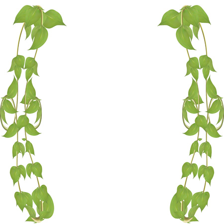 Vector frame made from leaves and twigs for decorating events isolated on white background, blanking up a postcard advertisingのイラスト素材