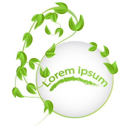 round frame of branches with fresh green leaves isolated on white background copy spaceのイラスト素材