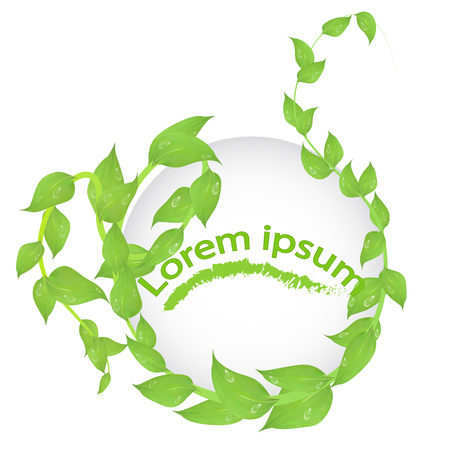 round frame of branches with fresh green leaves isolated on white background copy spaceのイラスト素材