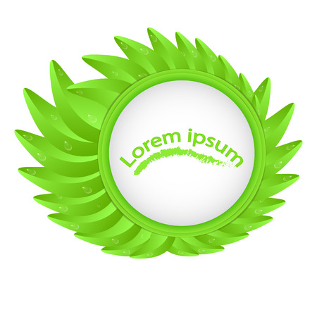 Circle on a background of green leaves with a place under the text isolated on a white sticker for a sticker, a labelのイラスト素材