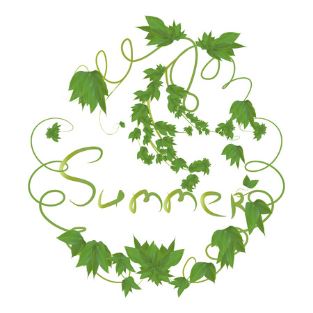 leaf frame with the inscription summer on a white backgoundの写真素材