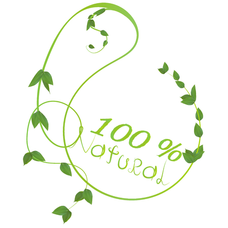 Natural stem with green leaves  on white background conceptの写真素材