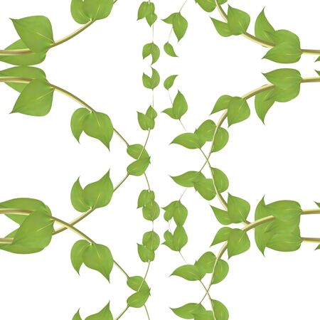 Vector horizontal seamless pattern with green wicker ivy sprouts and leaves with heart on white background.のイラスト素材