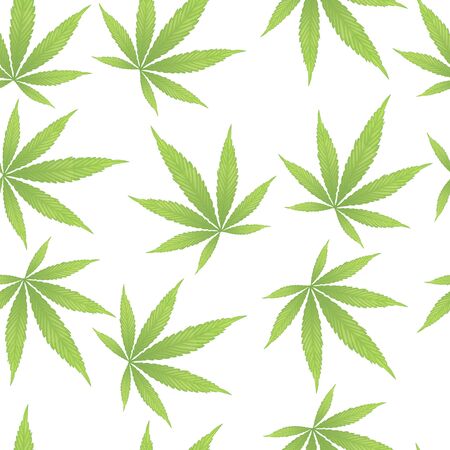 Cannabis leaves on white background seamless pattern. Green cannabis leaves isolated on white.の写真素材