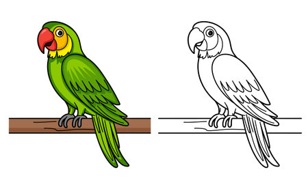 Beautiful lovebird parrot bird cartoon character line art coloring pages book for kids vector illustrationのイラスト素材