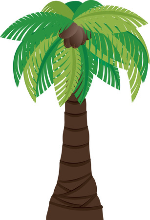 Palm Treeのイラスト素材