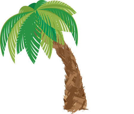 Palm Treeのイラスト素材