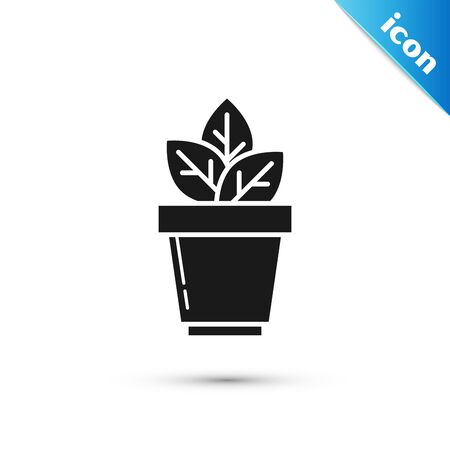 Black Flowers in pot icon isolated on white background. Plant growing in a pot. Potted plant sign. Vector Illustrationのイラスト素材