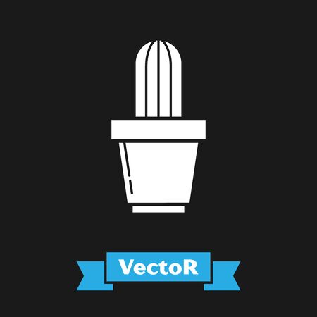 White Cactus and succulent in pot icon isolated on black background. Plant growing in a pot. Potted plant sign. Vector Illustrationのイラスト素材