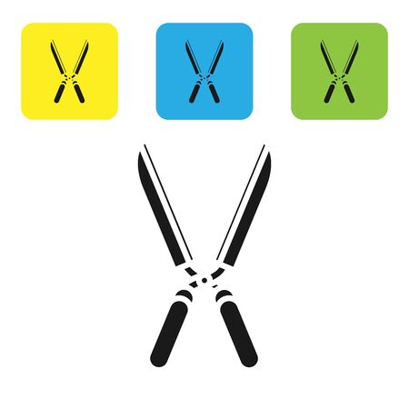 Black Gardening handmade scissors for trimming icon isolated on white background. Pruning shears with wooden handles. Set icons colorful square buttons. Vector Illustrationのイラスト素材