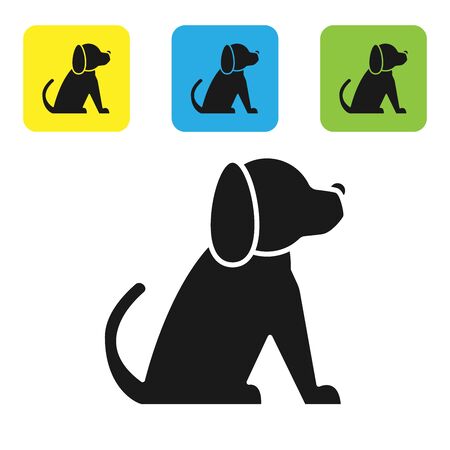 Black Dog icon isolated on white background. Set icons colorful square buttons. Vector Illustrationのイラスト素材